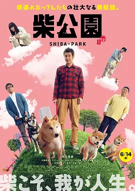 疯狂的前女友