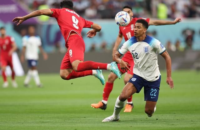 天天操天天射天天舔