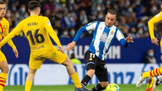 男男肉视频