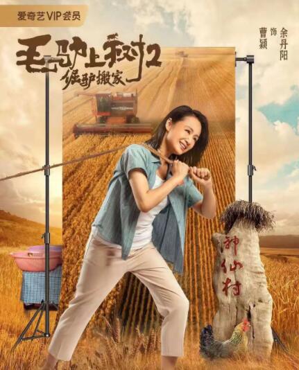 木下凛凛子av在线