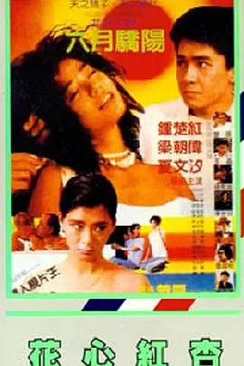 杨晓雯