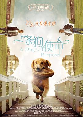 韩国av在线播放