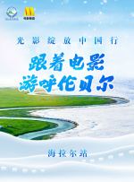 老司机51精品视频在线观看