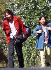 国产高清一区二区