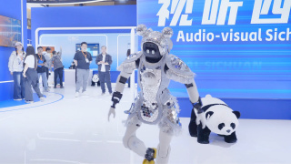 国内自拍视频在线看免费观看